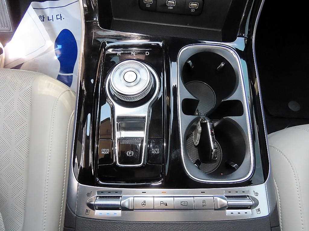 KIA Carnival - Vista 12