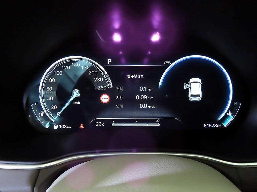 Genesis GV80 - Vista 12