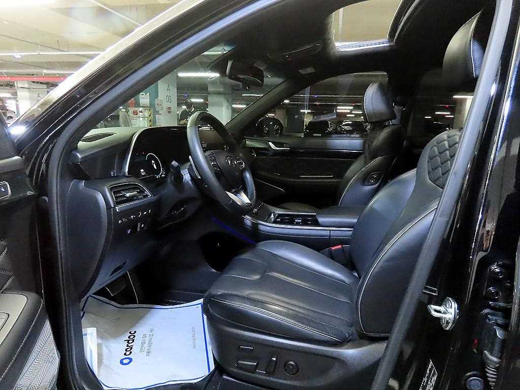 HYUNDAI Palisade - Vista 8
