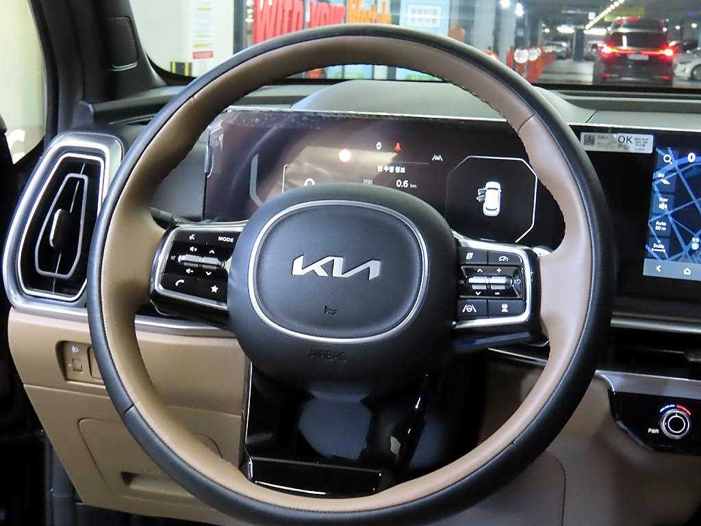 KIA Sorento - Vista 10