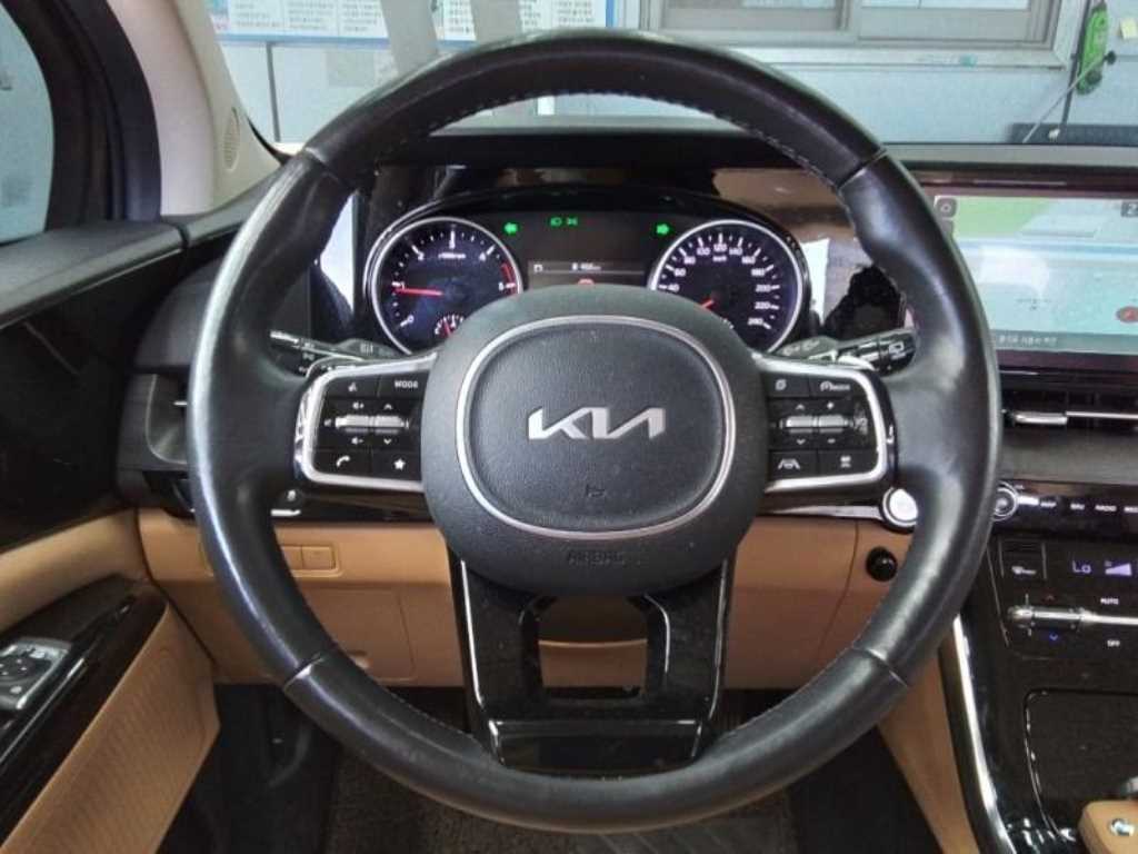 KIA Carnival - Vista 8