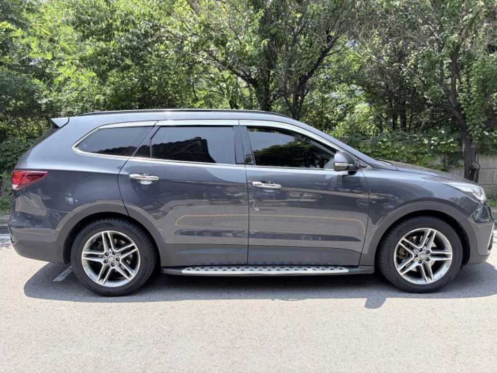 HYUNDAI Maxcruz - Vista 6
