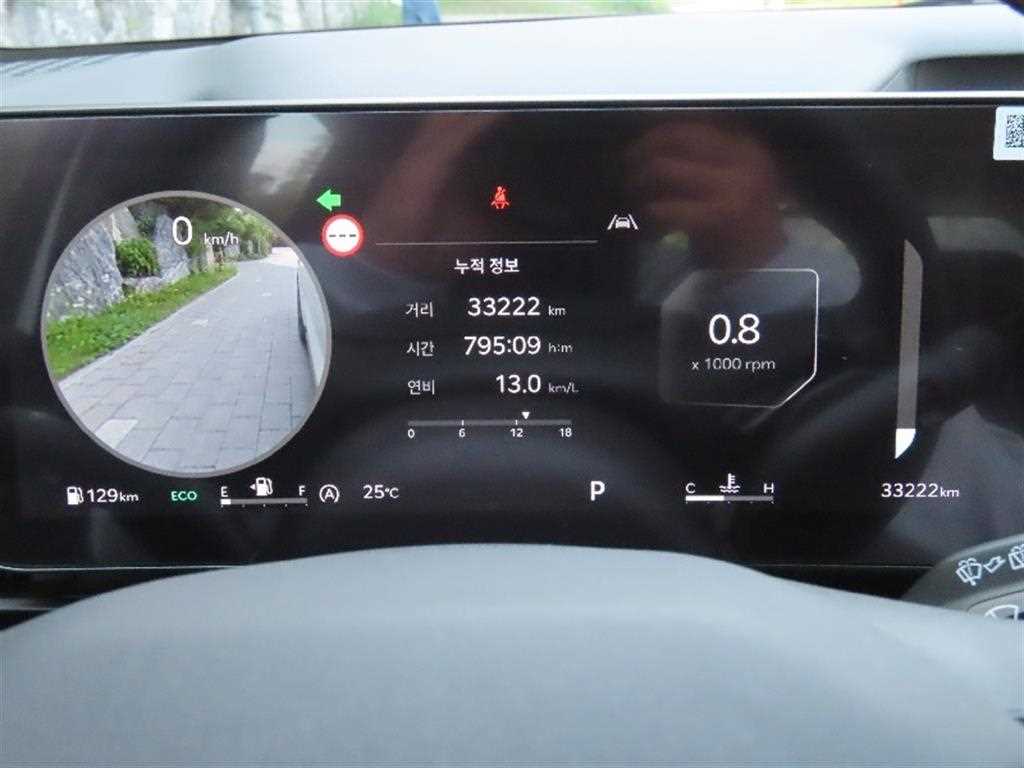 KIA Carnival - Vista 7