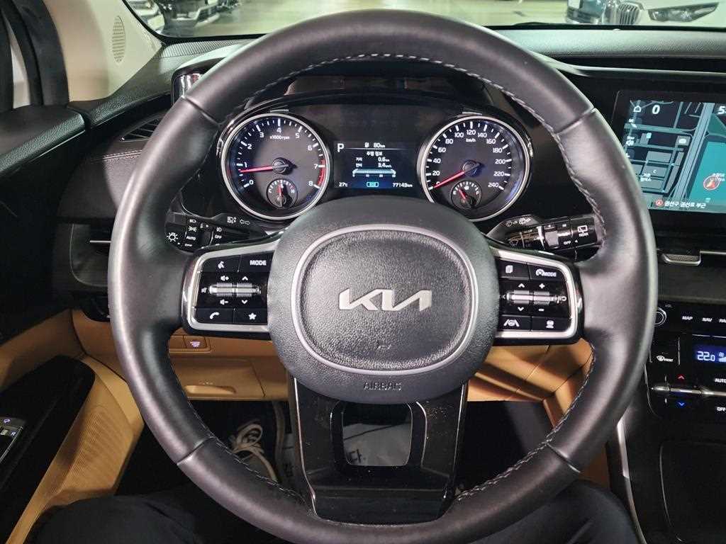 KIA Carnival - Vista 12