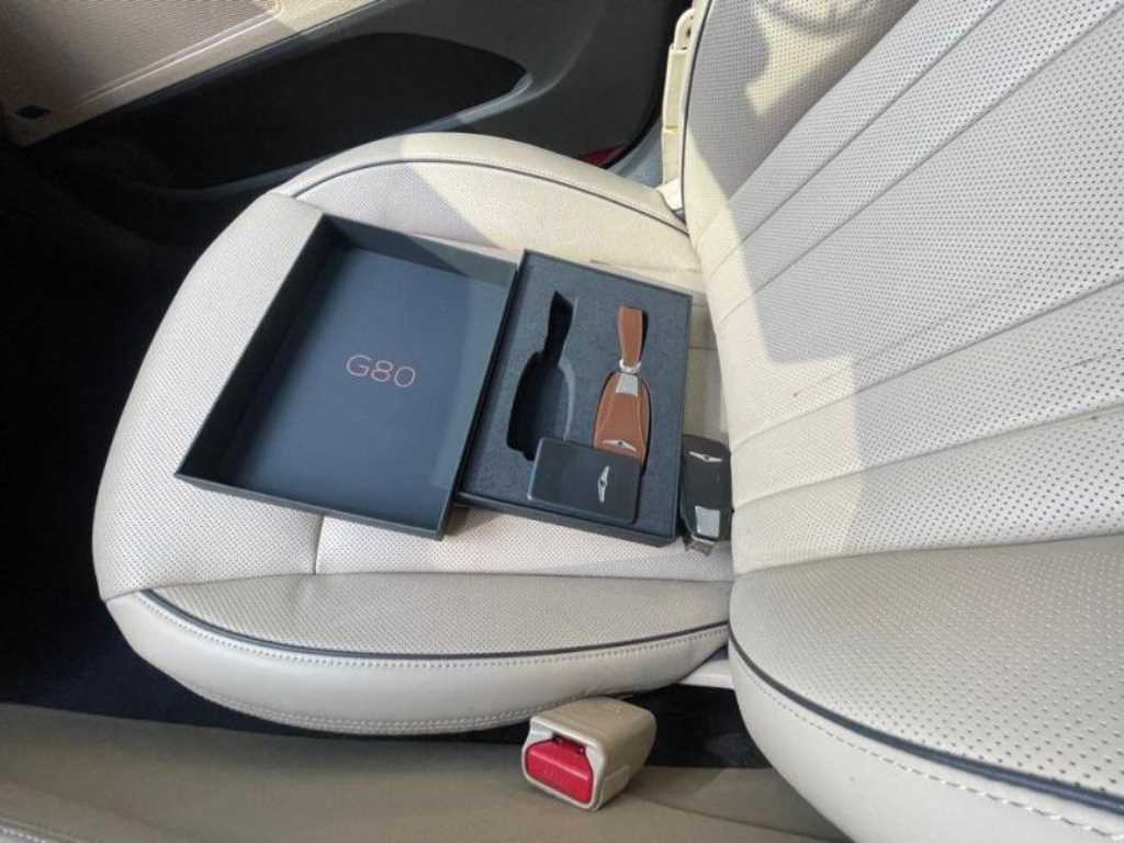 Genesis G80 - Vista 12