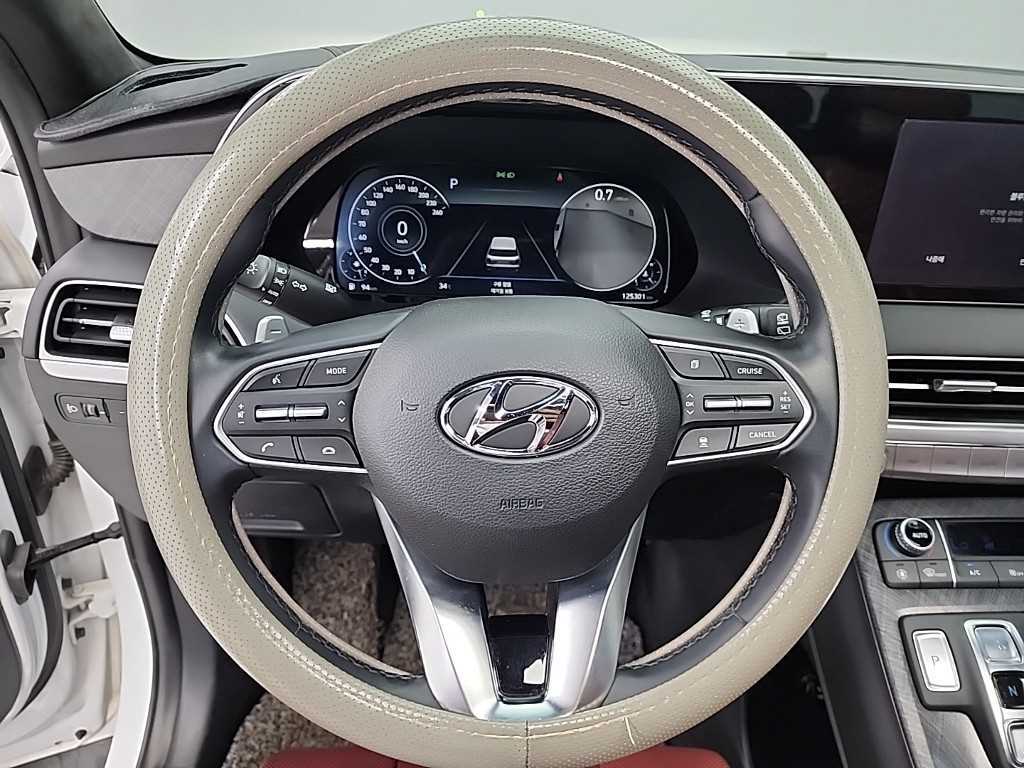 HYUNDAI Palisade - Vista 11