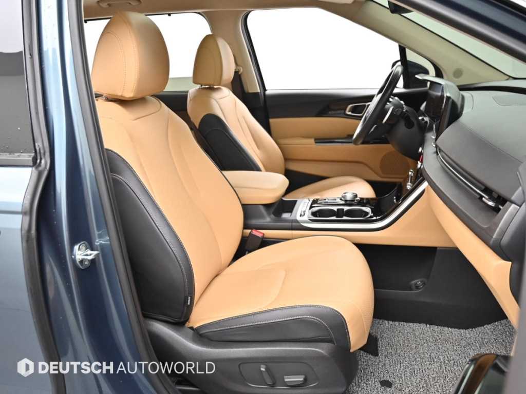 KIA Carnival - Vista 12