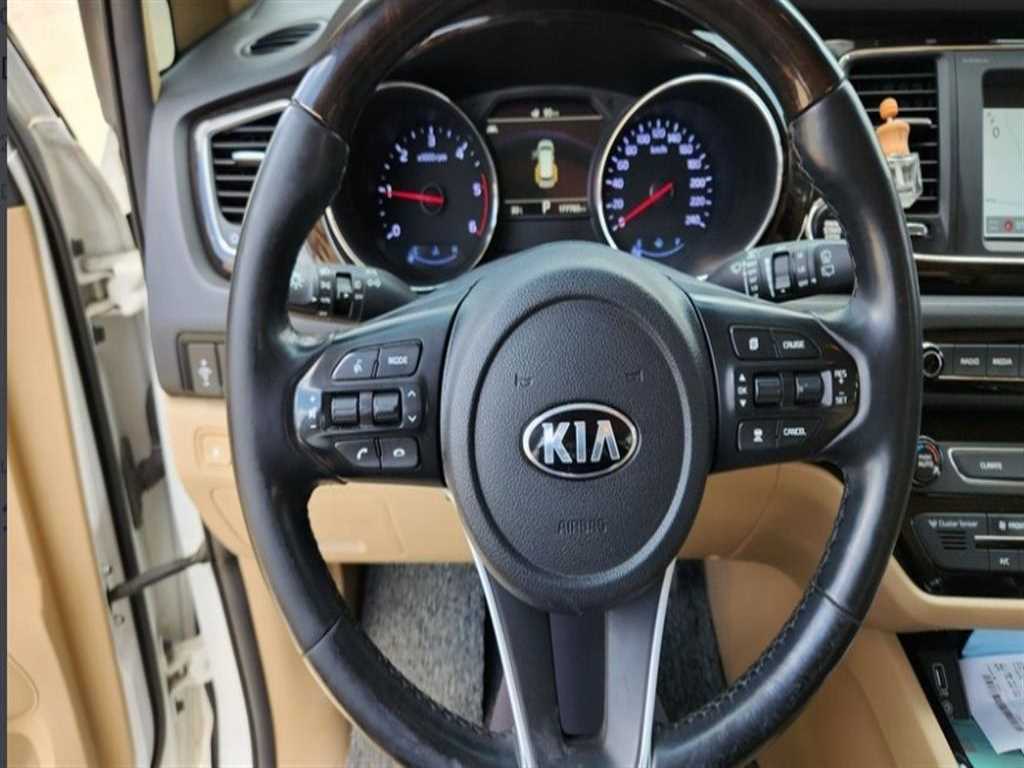 KIA Carnival - Vista 12
