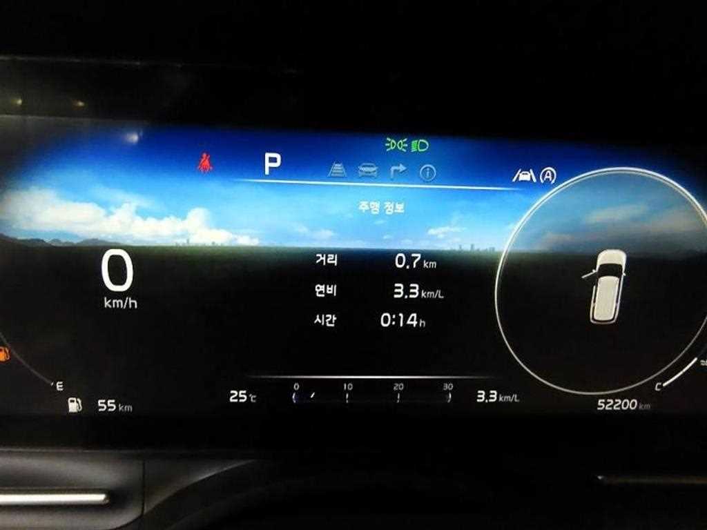 KIA Carnival - Vista 9