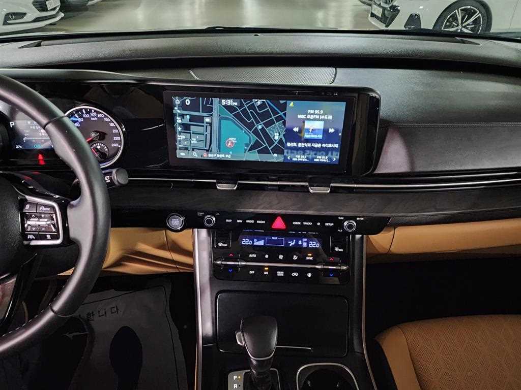 KIA Carnival - Vista 11