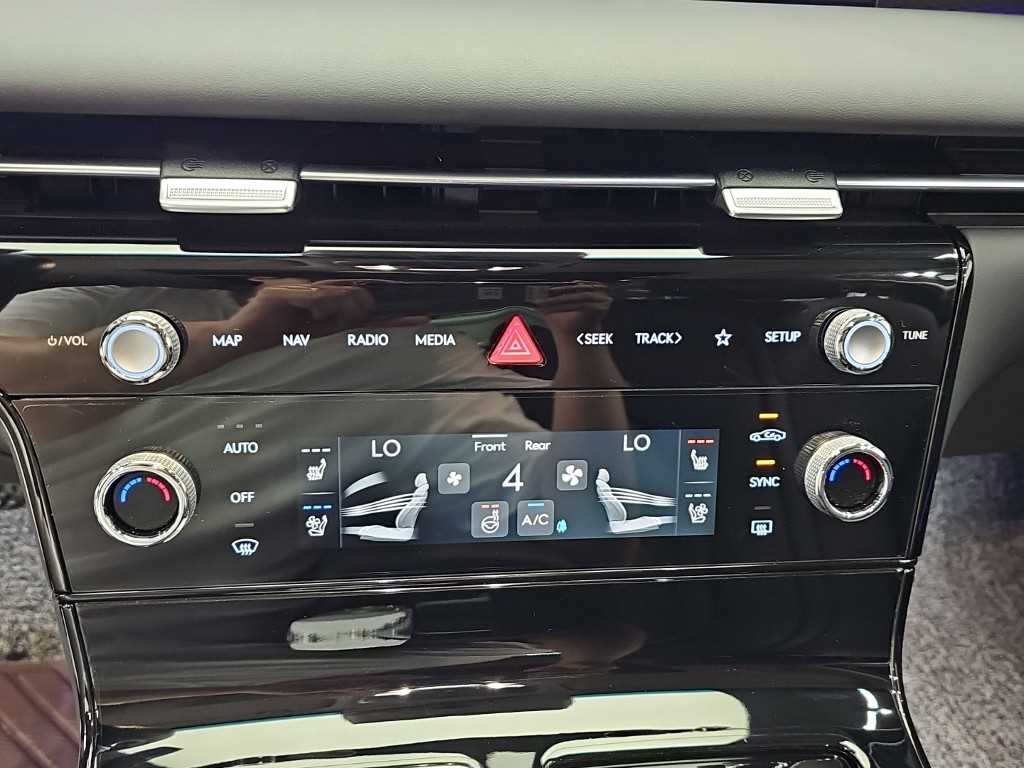 Genesis G80 - Vista 12
