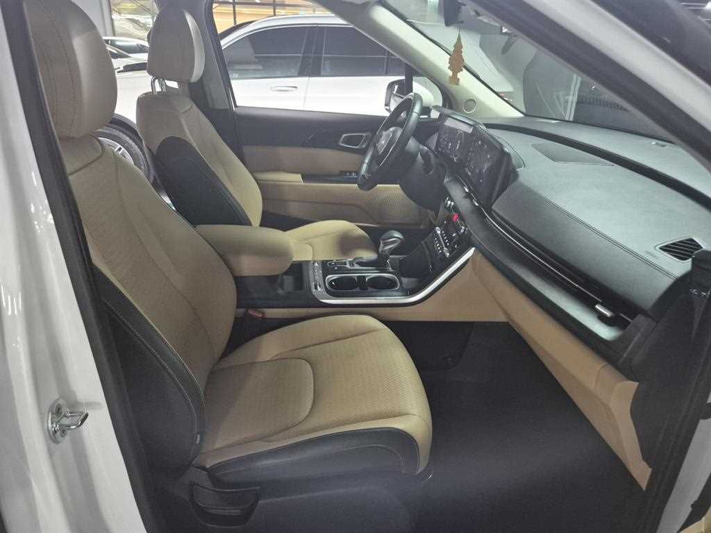 KIA Carnival - Vista 12