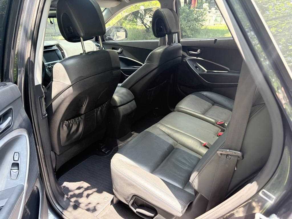HYUNDAI Maxcruz - Vista 8