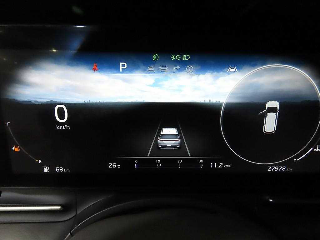 KIA Carnival - Vista 11