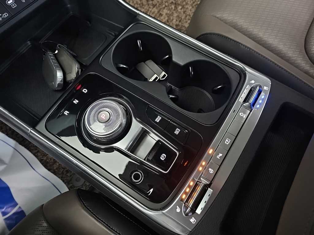 KIA Carnival - Vista 10
