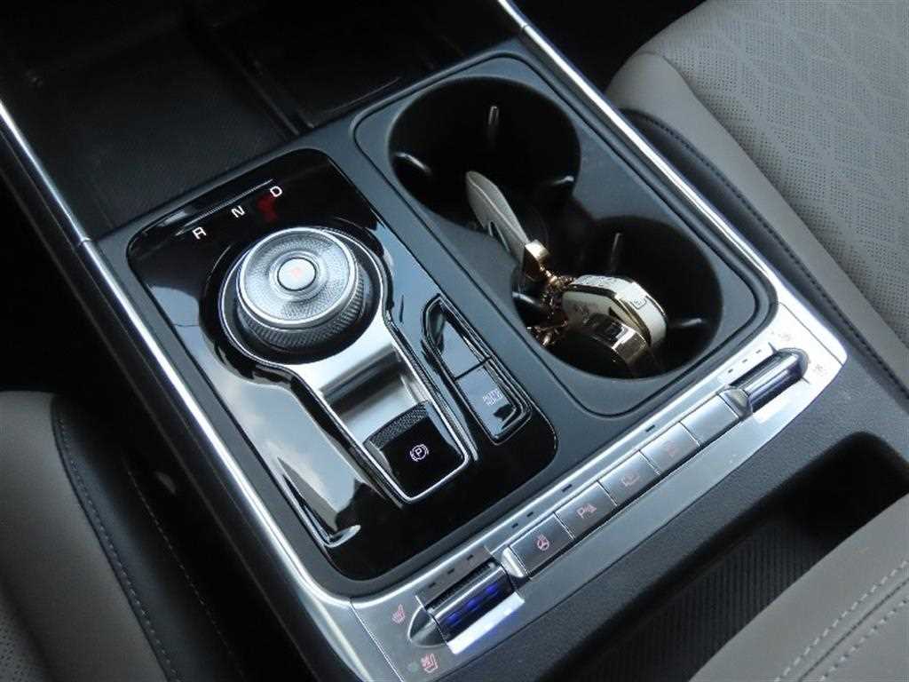 KIA Carnival - Vista 8
