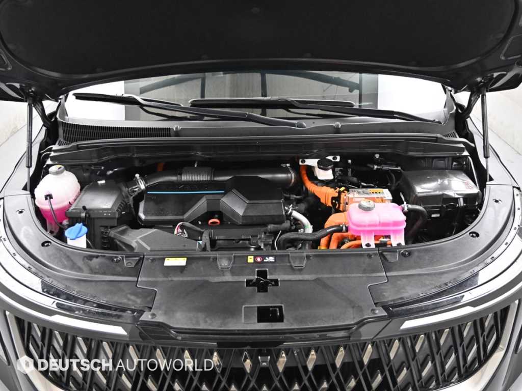 KIA Carnival - Vista 8