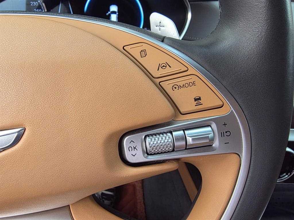 Genesis G80 - Vista 12