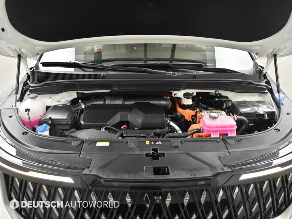 KIA Carnival - Vista 8