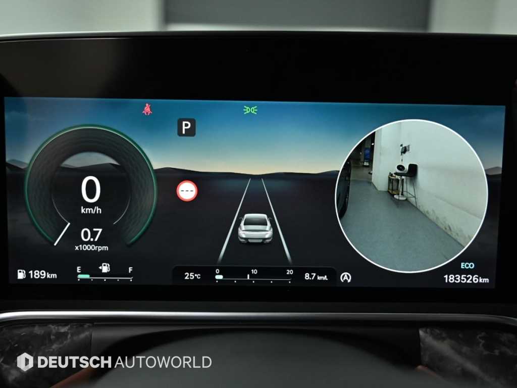 Genesis G90 - Vista 10