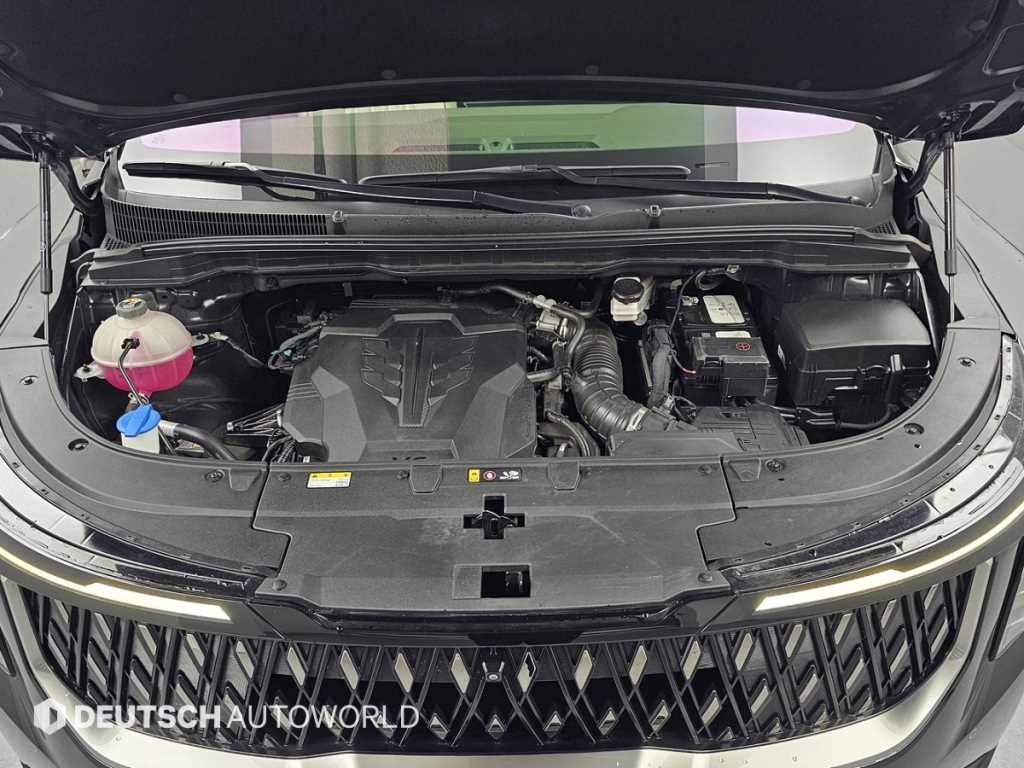 KIA Carnival - Vista 8