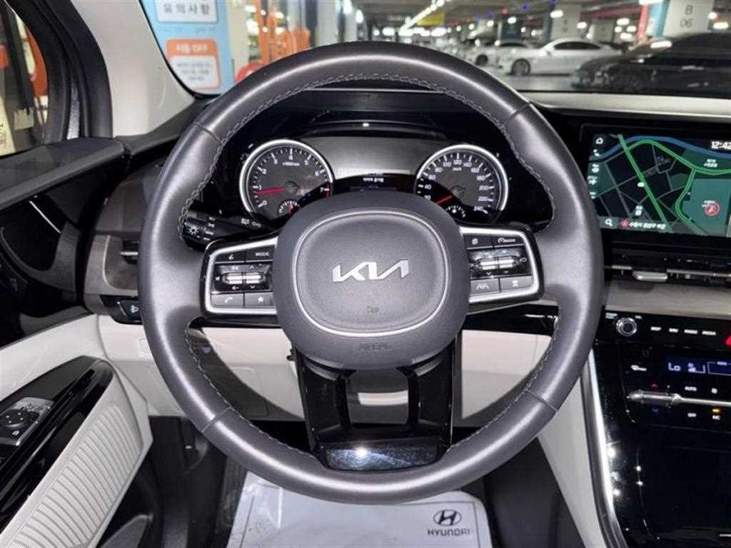 KIA Carnival - Vista 10