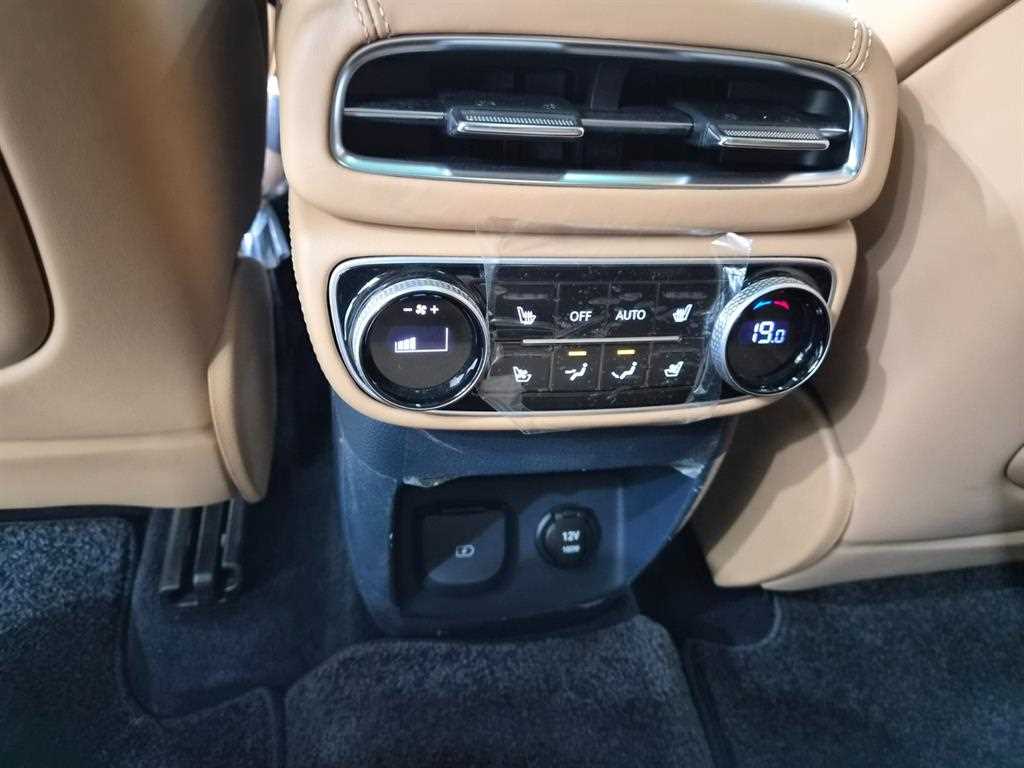 Genesis GV80 - Vista 10