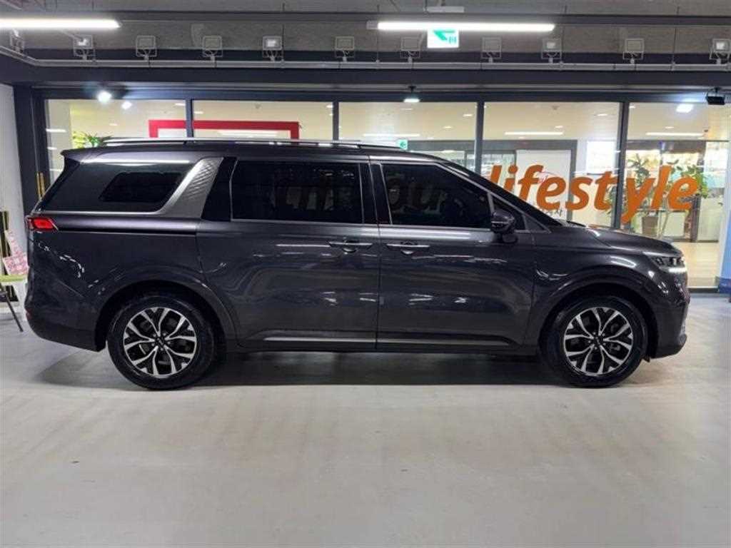 KIA Carnival - Vista 3