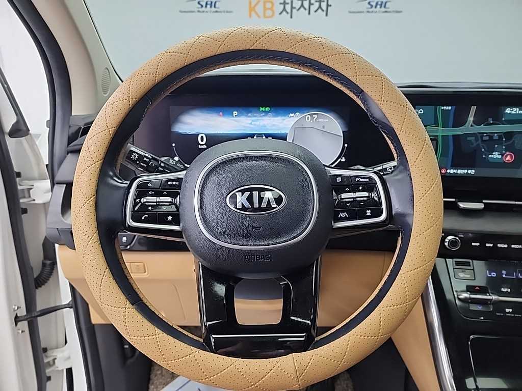 KIA Carnival - Vista 11