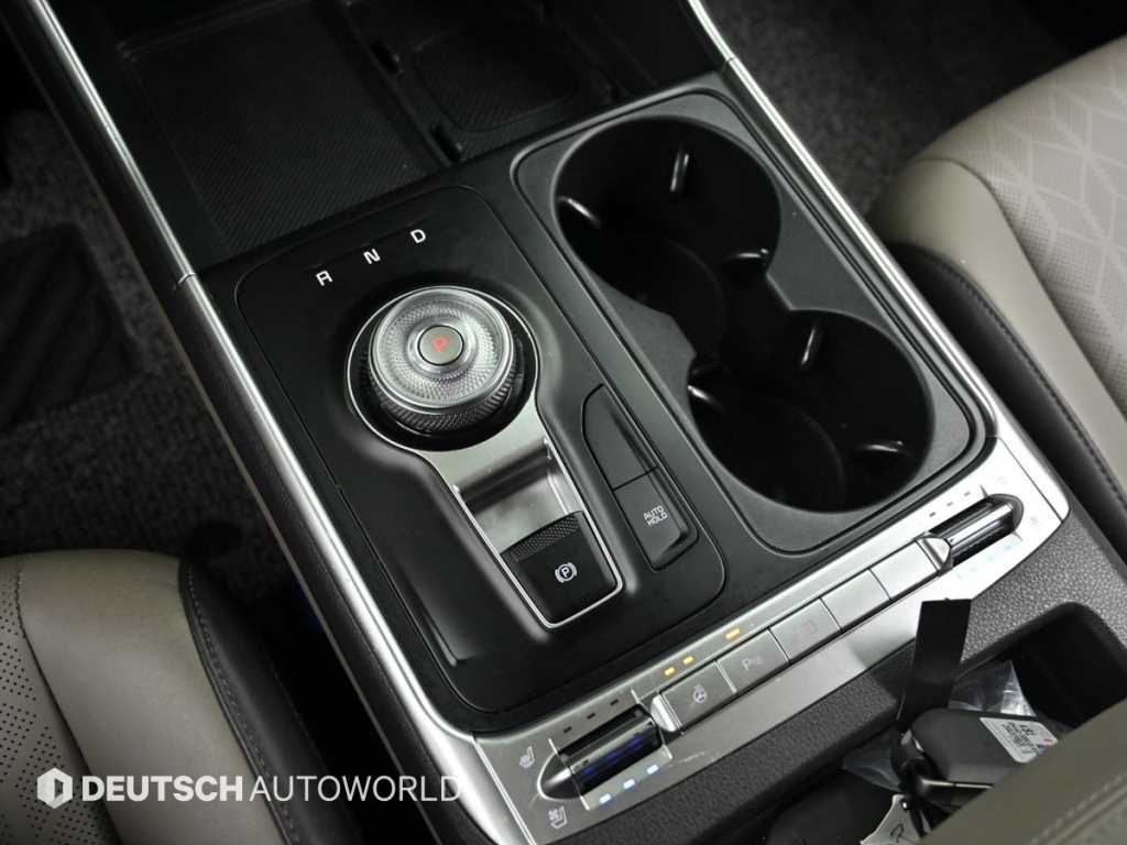 KIA Carnival - Vista 11