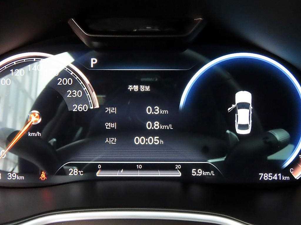 Genesis G80 - Vista 11