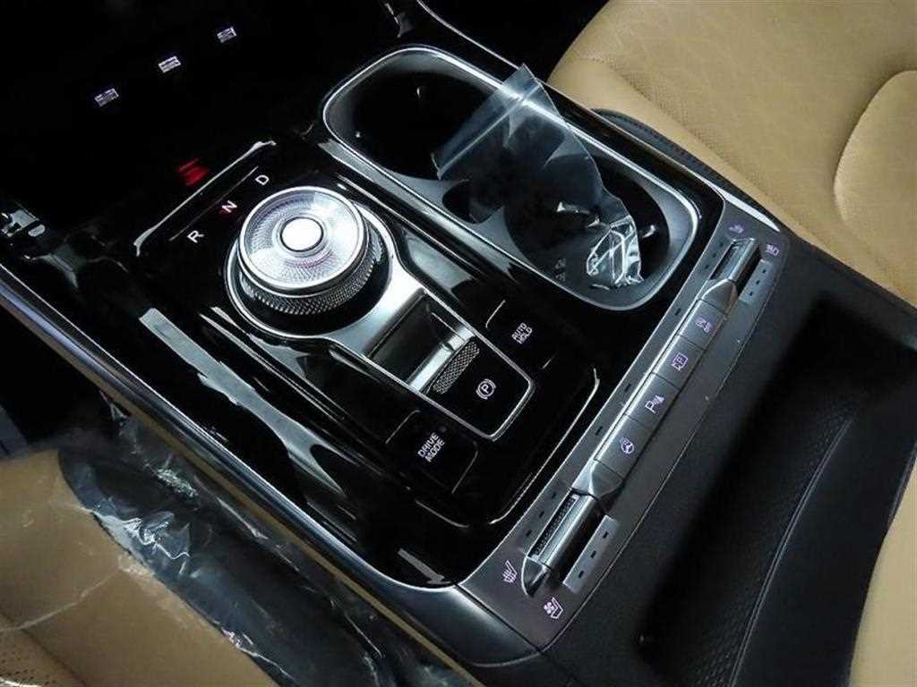 KIA Carnival - Vista 11