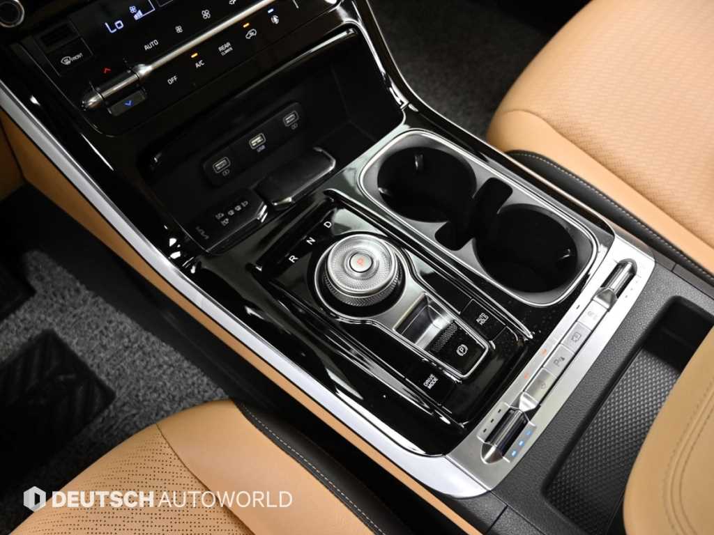 KIA Carnival - Vista 11