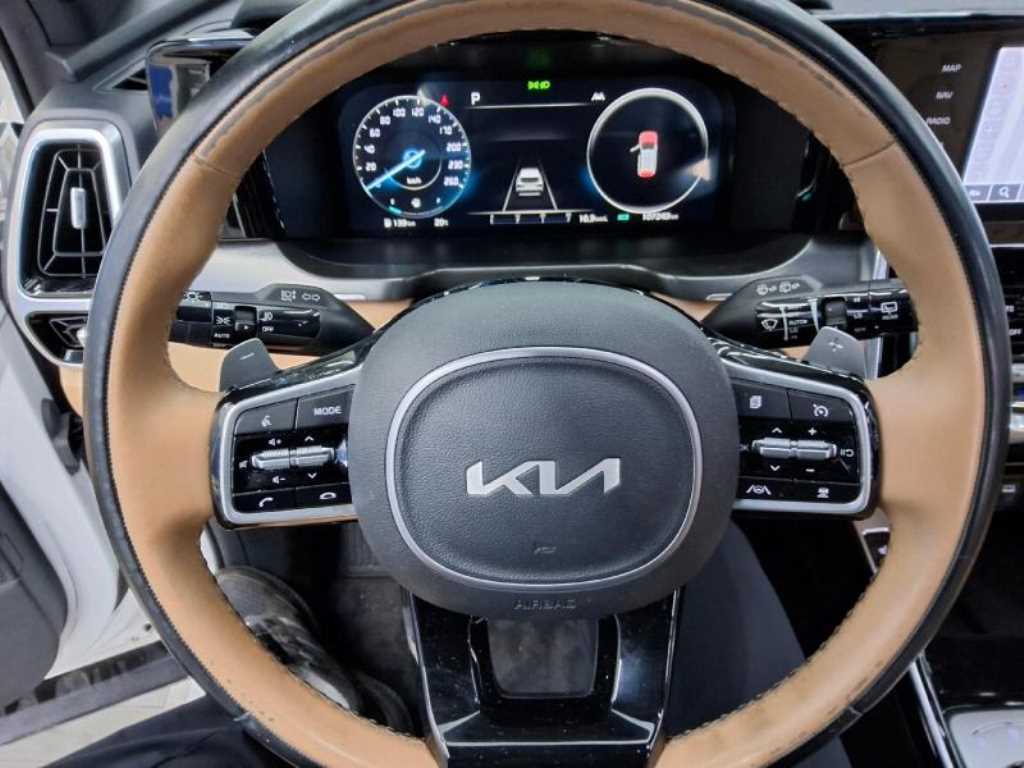 KIA Sorento - Vista 12