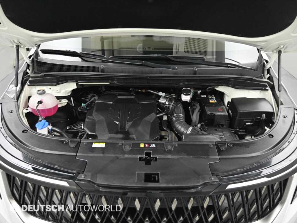 KIA Carnival - Vista 8