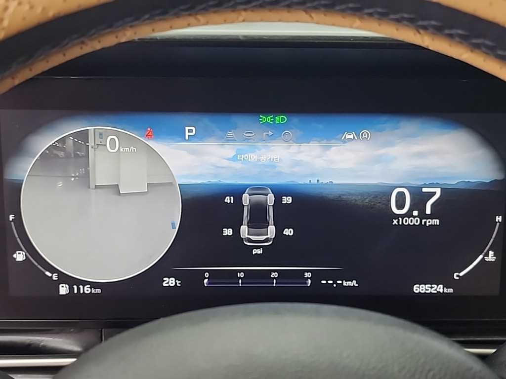 KIA Carnival - Vista 8
