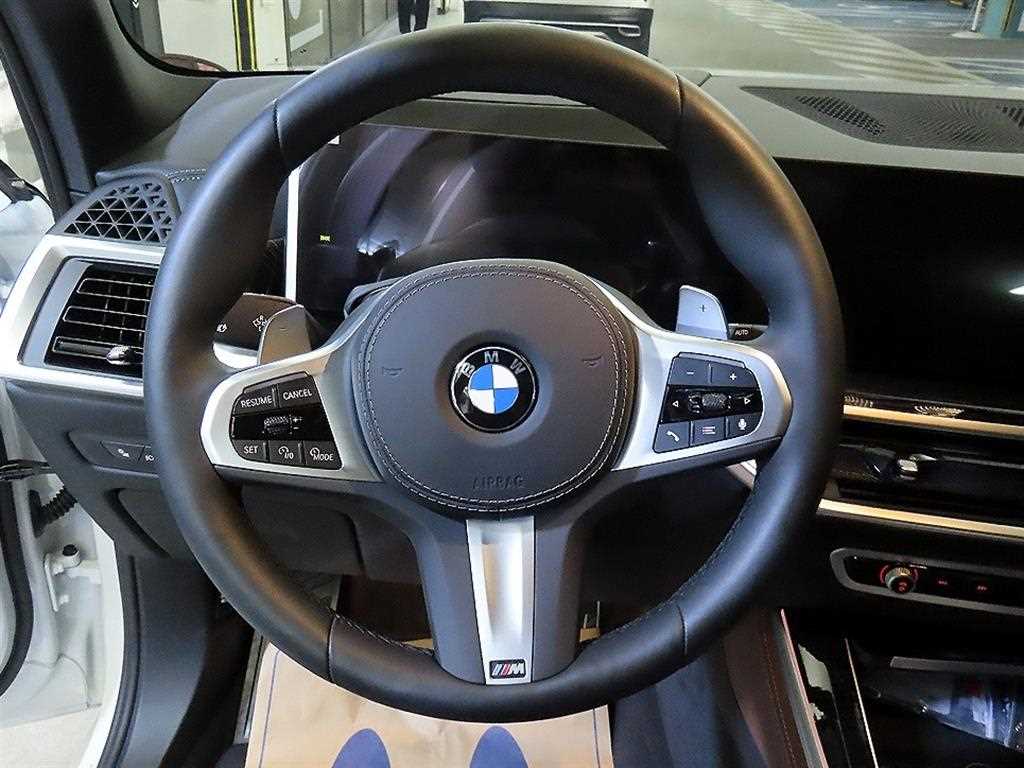 BMW X5 - Vista 10