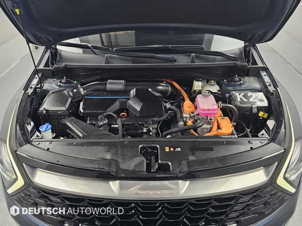 KIA Sportage - Vista 8