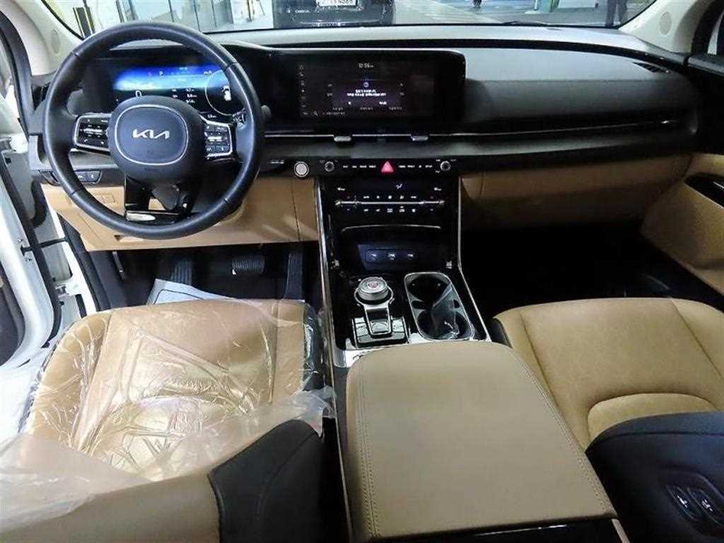KIA Carnival - Vista 8