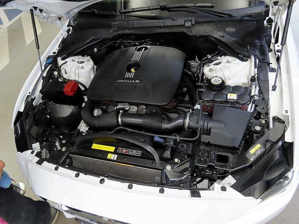 Jaguar XE 2015 Blanco - Importación desde Corea - HF Imports Iquique - Foto 20