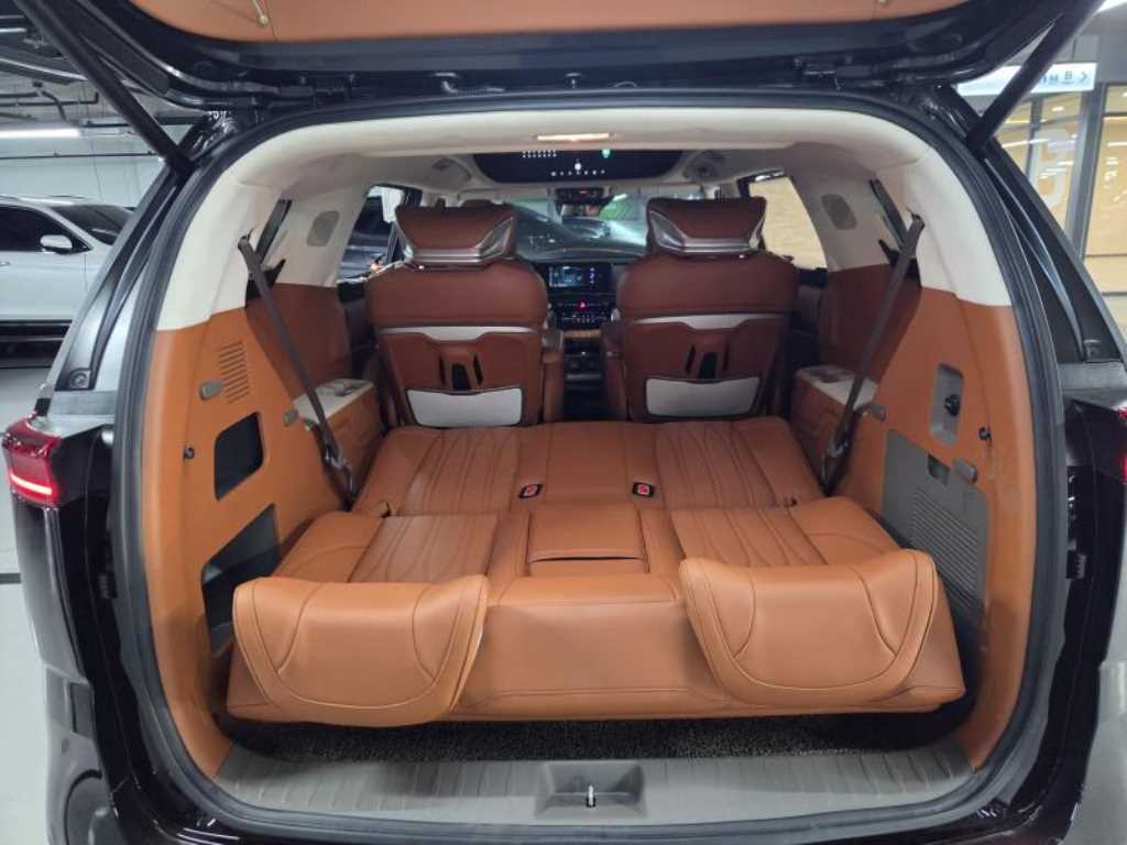 KIA Carnival - Vista 12