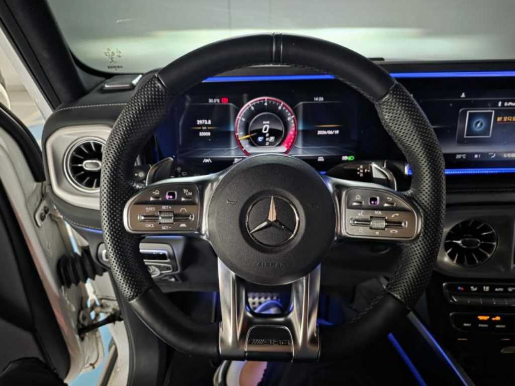 Mercedes Benz G Class (G Wagen) - Vista 12