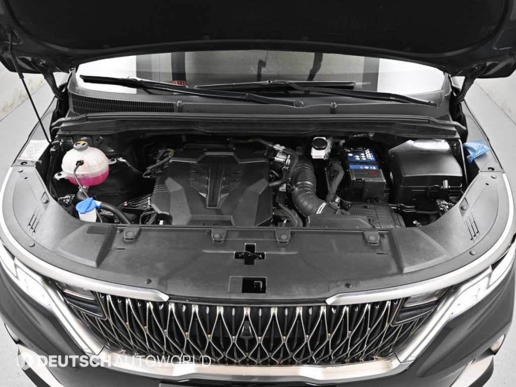 KIA Carnival - Vista 8
