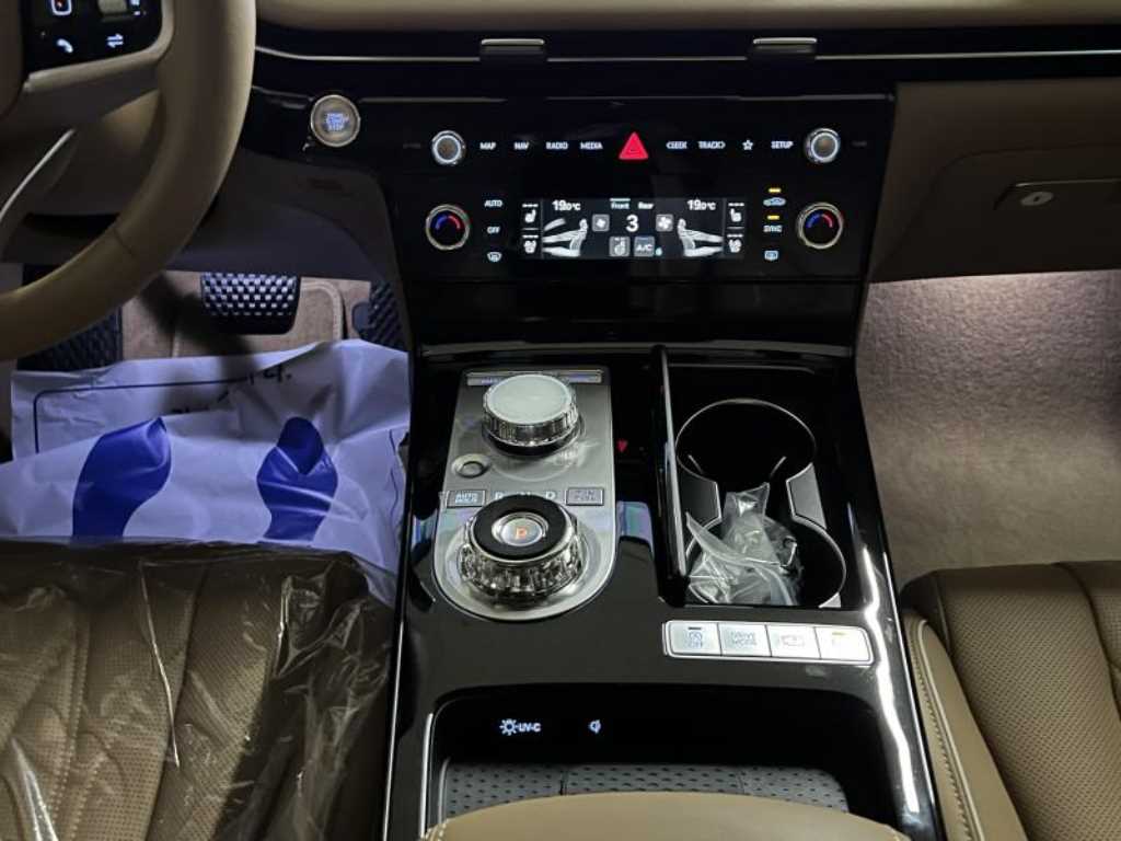 Genesis G80 - Vista 12
