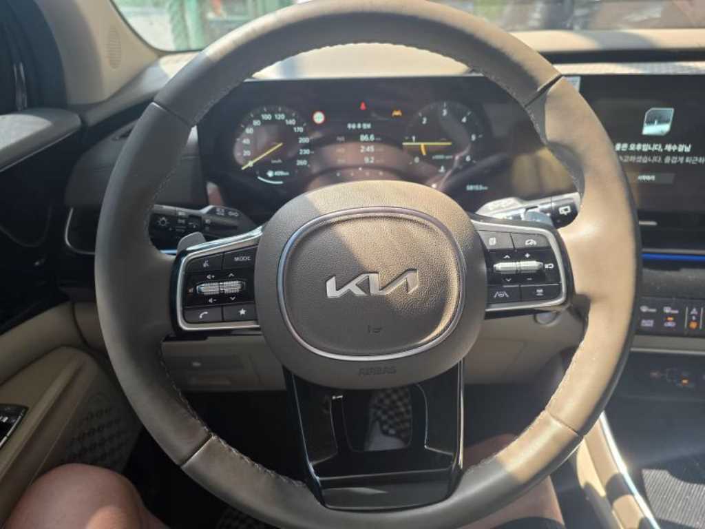 KIA Carnival - Vista 7