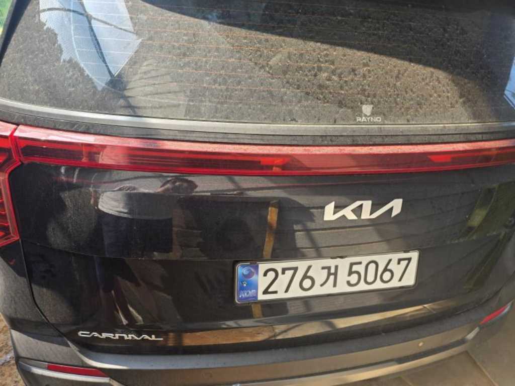 KIA Carnival - Vista 2