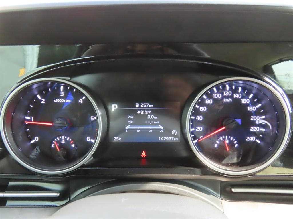 KIA Carnival - Vista 12