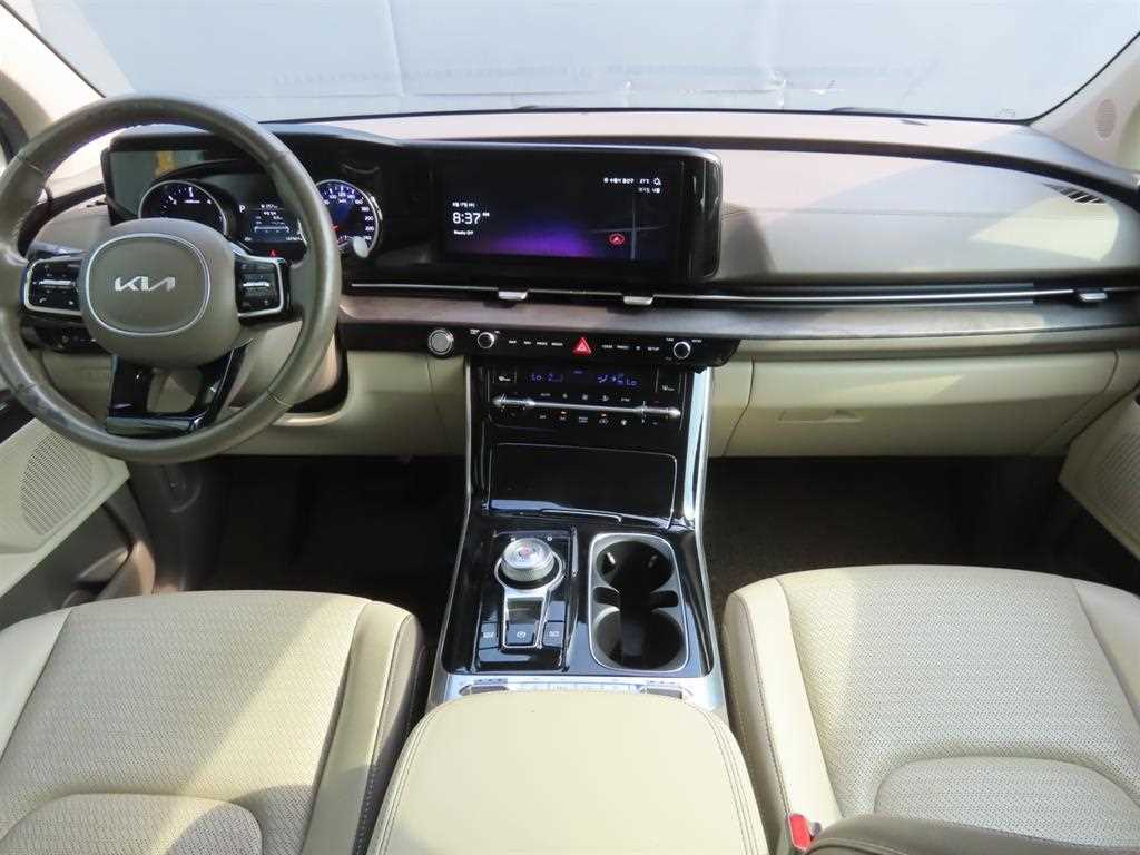 KIA Carnival - Vista 11