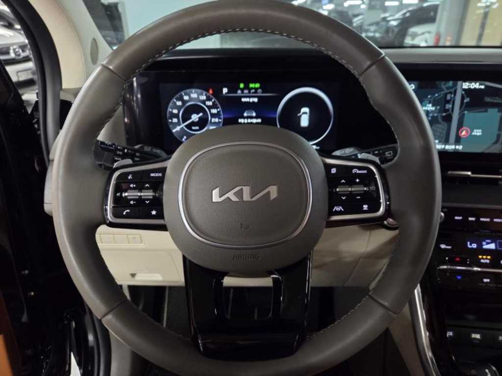 KIA Carnival - Vista 7