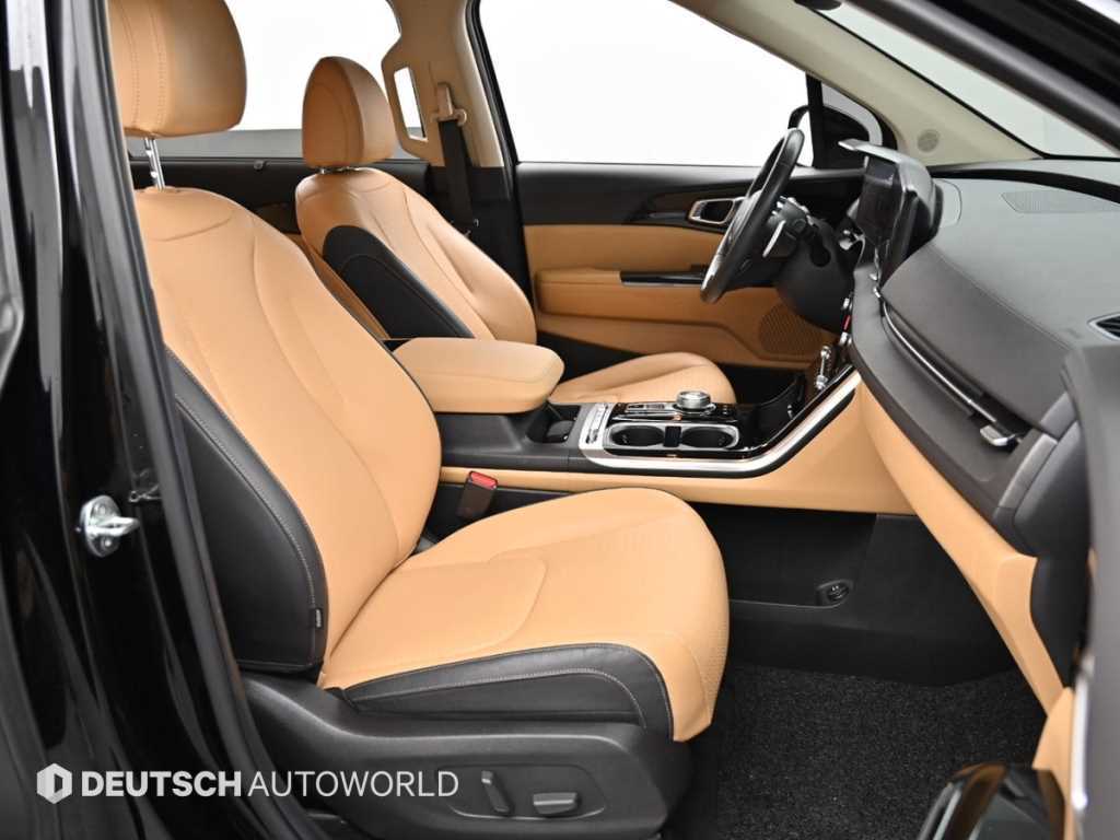 KIA Carnival - Vista 12